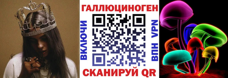 Псилоцибиновые грибы Psilocybine cubensis  Бугульма 